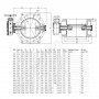 Затвор дисковый поворотный чугун Ду 250 Ру10 фл с редуктором диск чугун манжета EPDM с двойным эксцентриситетом Benarmo